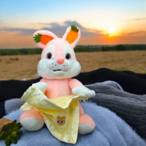 Premium Peek-a-Boo Play Plush Bunny