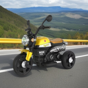 Kids Electric Bike